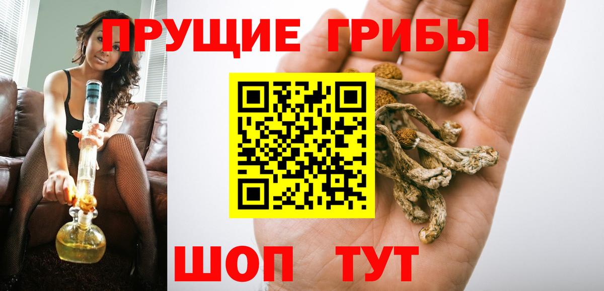 Галлюциногенные грибы мицелий Костомукша