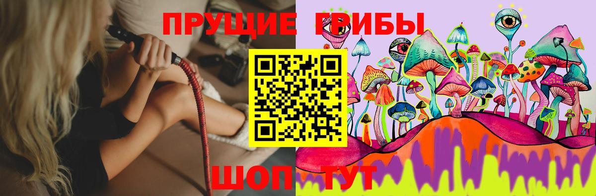 Псилоцибиновые грибы MAGIC MUSHROOMS  Галлюциногенные грибы Psilocybine cubensis  Костомукша  Вход с VPN 